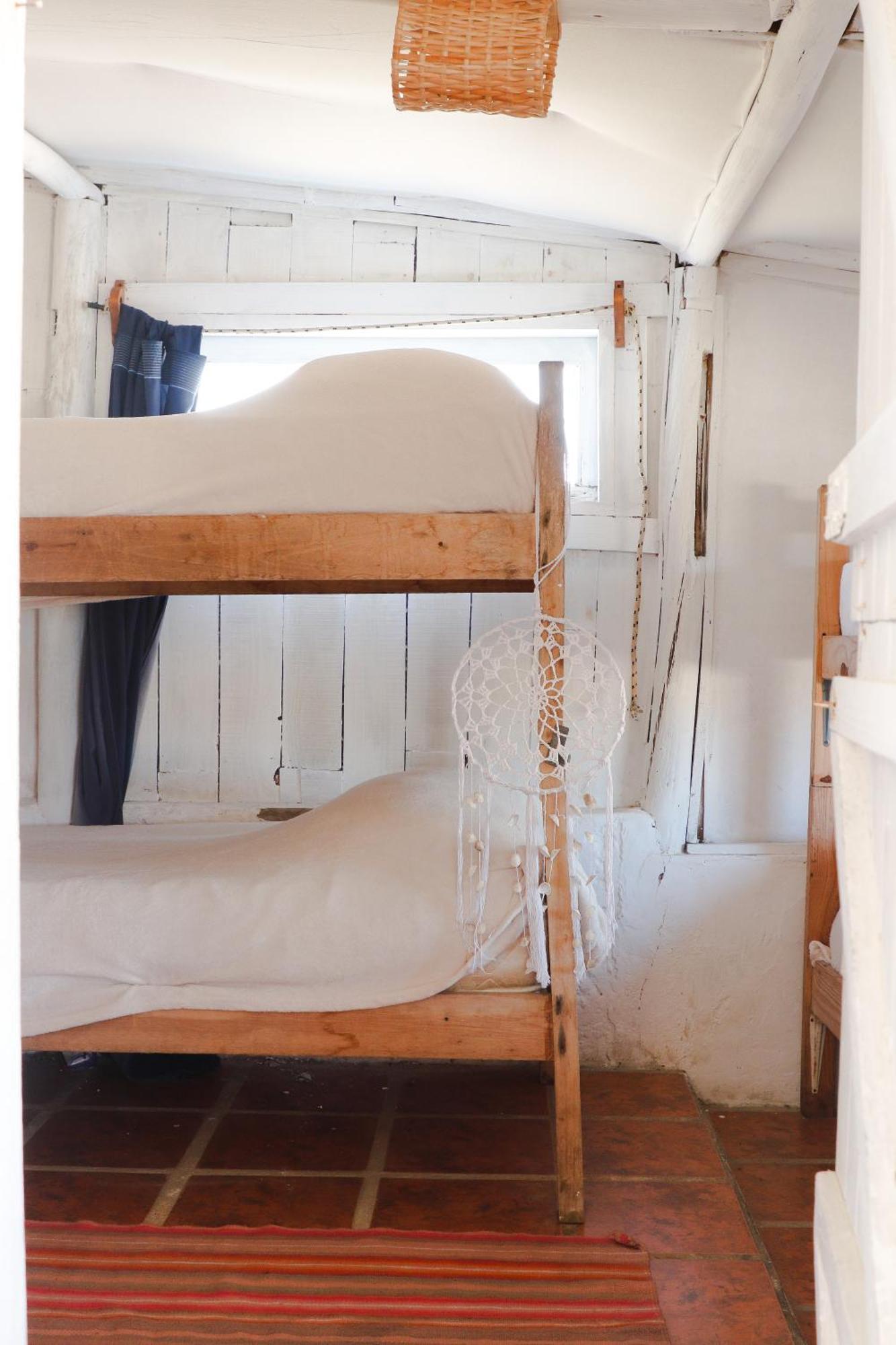 Salty House